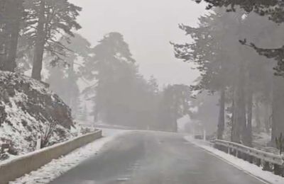 Φωτογραφία από ΜΚΔ