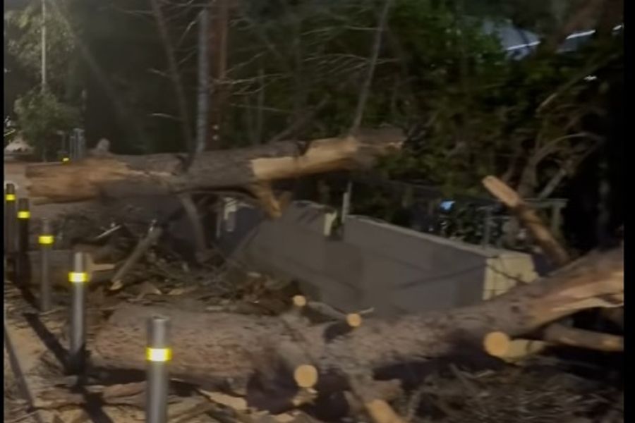 Σφοδροί άνεμοι: Πτώσεις δέντρων και αποκοπές καλωδίων στη Λευκωσία-VID