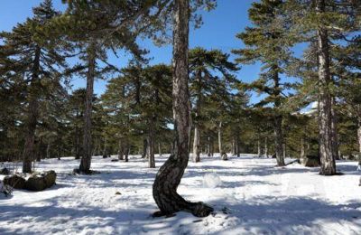 Η Αστυνομία θα βρίσκεται σε συνεχή επιφυλακή