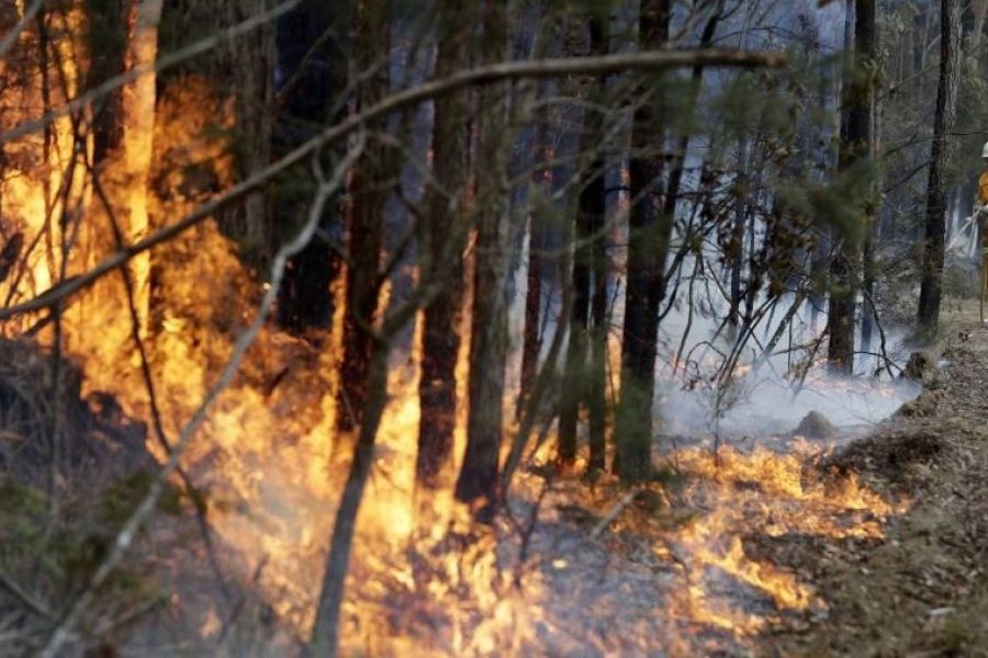 Αυστραλία: Πύρινος εφιάλτης- Στάχτη 3 εκατ. στρέμματα