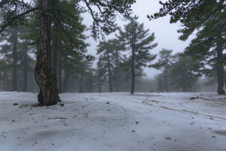 Επιτέλους: Πρώτα καλά νέα από τα φράγματα
