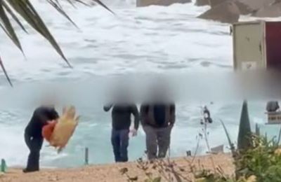 Χειροπέδες σε τέσσερα πρόσωπα για την κακοποίηση χελώνας (ΒΙΝΤΕΟ)