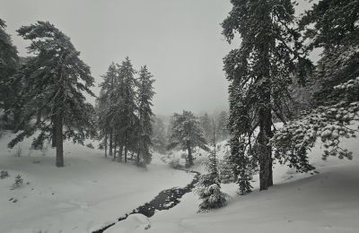 Φωτογραφία από Καιρόφιλοι Κύπρου 