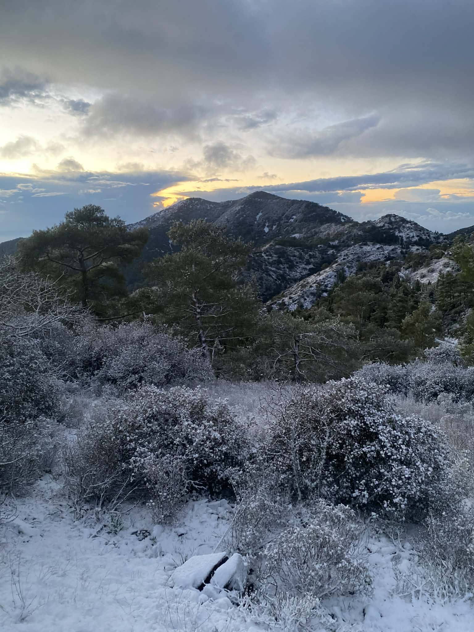 «Άσπρισαν» τα… πάντα στα ορεινά – Χιόνια και στο Μαχαιρά (ΦΩΤΟΣ)