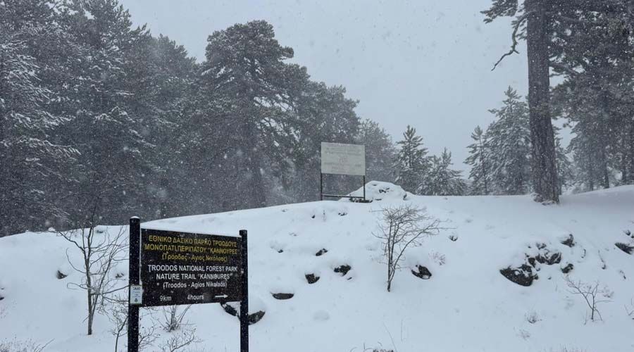 «Άσπρισαν» τα... πάντα στα ορεινά - Χιόνια και στο Μαχαιρά (ΦΩΤΟΣ)