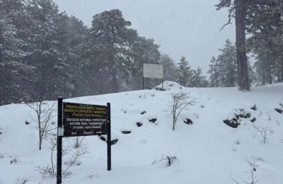 «Άσπρισαν» τα... πάντα στα ορεινά - Χιόνια και στο Μαχαιρά (ΦΩΤΟΣ)