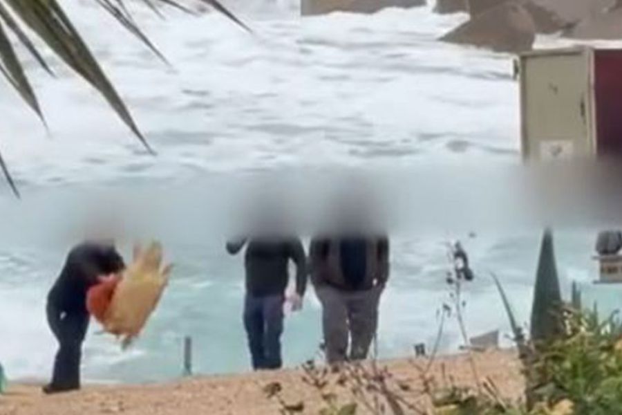 Νεκρή χελώνα: Τέσσερα πρόσωπα κατηγορήθηκαν