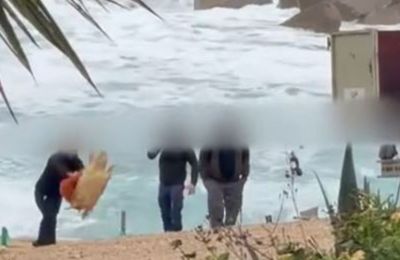 Νεκρή χελώνα: Τέσσερα πρόσωπα κατηγορήθηκαν