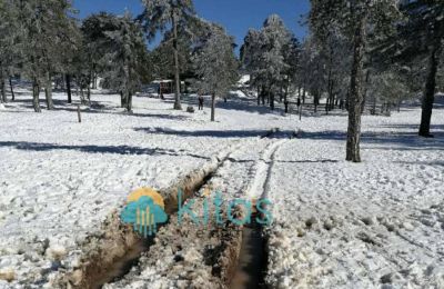 Στην πίστα εισήλθαν οχήματα 4X4 προκαλώντας καταστροφές