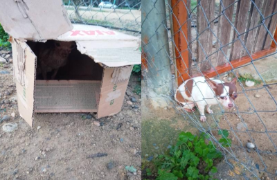 Φωτογραφίες και Βίντεο από τα ΜΚΔ