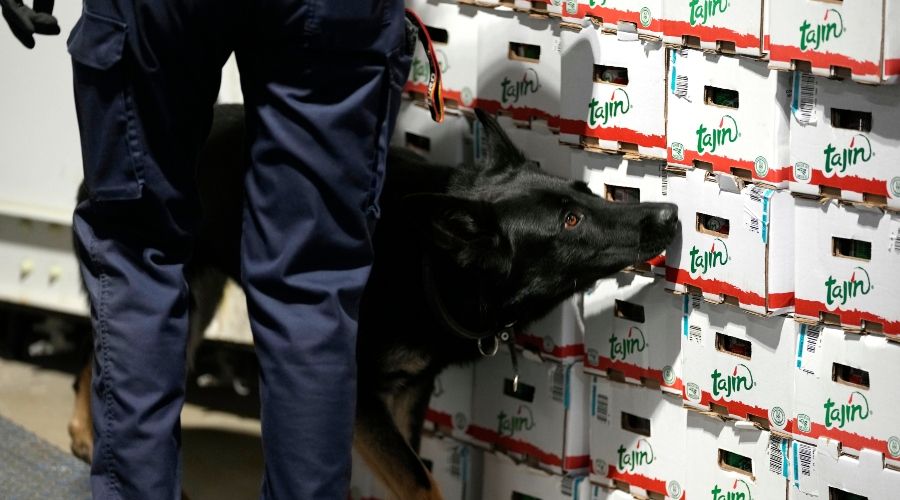 Αντιπροσωπεία της Europol, με πρωτοβουλία του Θεμιστού Αρναούτη, βρίσκεται στην Κύπρο