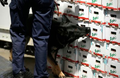 Αντιπροσωπεία της Europol, με πρωτοβουλία του Θεμιστού Αρναούτη, βρίσκεται στην Κύπρο