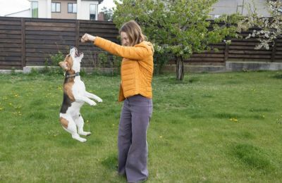 Το καθημερινό παιχνίδι ενός σκύλου είναι απολύτως απαραίτητο