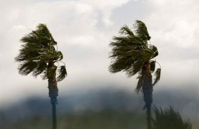 Φωτογραφία Αρχείου