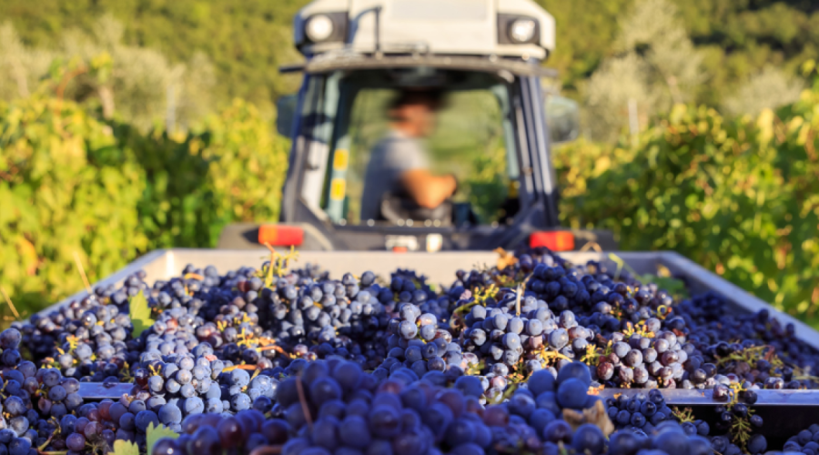 Ο πιο σημαντικός sommelier της Κύπρου σχολιάζει 10 trends για το κρασί