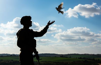 Δείτε μέσα από σχεδιαγράμματα πώς στήνεται και πώς λειτουργεί ένα περιστέρι ως drone