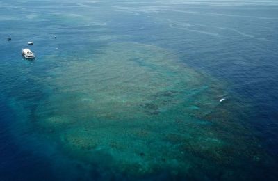 Κολύμπησε 4 χιλιόμετρα για να σώσει τη μητέρα και τα αδέρφια του (VID)