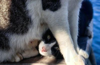 θα συνεχίσουμε να παρακολουθούμε στενά το θέμα και να παρεμβαίνουμε όπου χρειάζεται