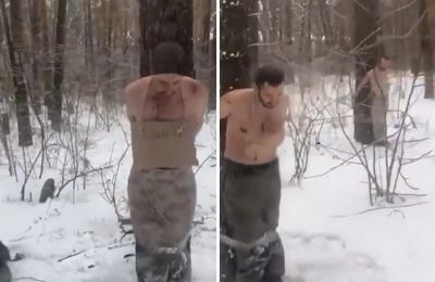 Τους τοποθετούν μέχρι και πινακίδες στον λαιμό