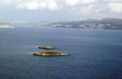 Για την Τουρκία, ο Ερόλ παραμένει σύμβολο του εσωτερικού διχασμού ανάμεσα σε κεμαλιστές και ισλαμιστές. 