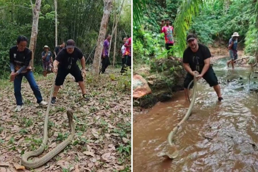 &Omicron; &Gamma;&iota;ά&nu;&nu;&eta;&sigmaf; &Alpha;&gamma;&gamma;&epsilon;&lambda;ή &alpha;&nu;&tau;&iota;&mu;έ&tau;&omega;&pi;&omicron;&sigmaf; &mu;&epsilon; &tau;&epsilon;&rho;ά&sigma;&tau;&iota;&epsilon;&sigmaf; &beta;&alpha;&sigma;&iota;&lambda;&iota;&kappa;έ&sigmaf; &kappa;ό&mu;&pi;&rho;&epsilon;&sigmaf;