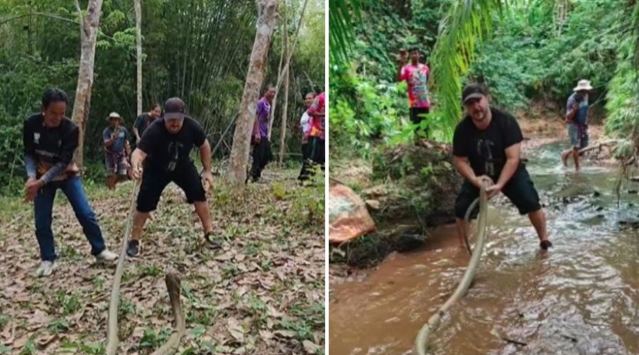 Ο Γιάννης Αγγελή άρπαξε τεράστιες βασιλικές κόντρες