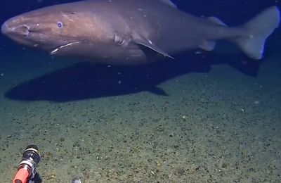 Κλιματική αλλαγή