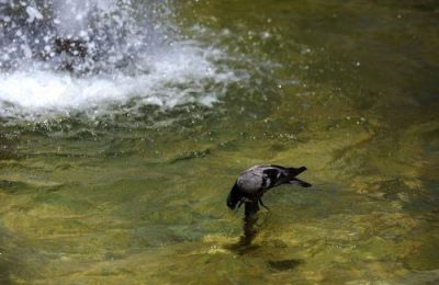Η διακοπή στην υδροδότηση ξεκίνησε την Τετάρτη θα συνεχιστεί μέχρι και σήμερα Παρασκευή.