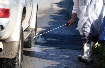 Άρχισε η διαδικασία θανάτωσης και ταφής των μολυσμένων ζώων