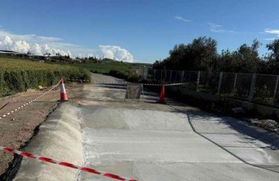 Η μαζική ταφή ζώων, καθώς και η ανάγκη εκτεταμένων απολυμάνσεων, δημιουργούν επιπρόσθετες περιβαλλοντικές προκλήσεις.