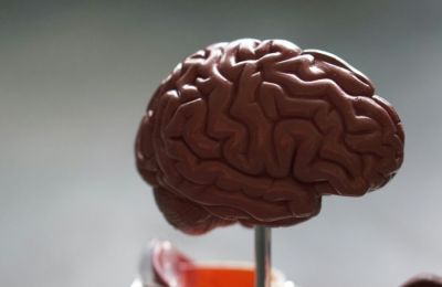 Το μεγαλύτερο λάθος που κάνουμε και βλάπτει τον εγκέφαλό μας