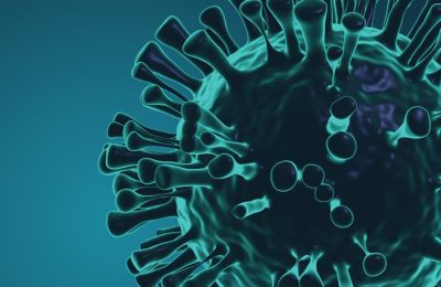 Ισπανία ειδοποιεί τον ΠΟΥ για δυνητική πανδημία του ιού της γρίπης των χοίρων.