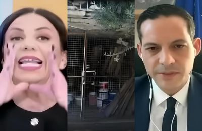 Όλο το Ίντερνετ συμφωνεί με την Κατερίνα Αγαπητού