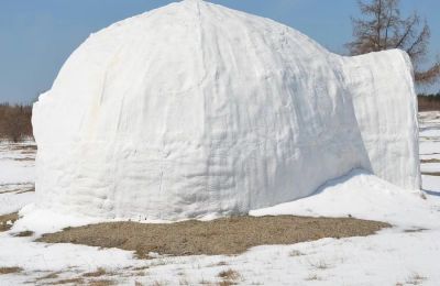 Οικογένεια στη Γερμανία έχτισε ιγκλού έξω από το σπίτι της.