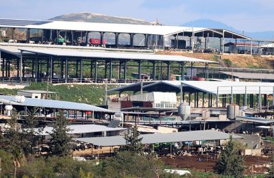 Αφθώδης πυρετός: Στις 37 οι μολυσμένες μονάδες