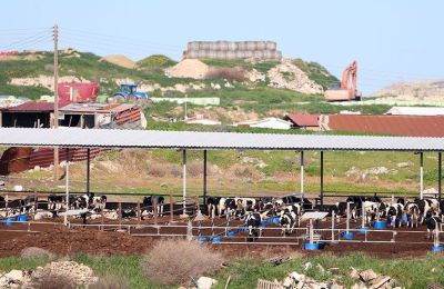 Η κυπριακή πλευρά βρίσκεται σε συνεχή επικοινωνία με τις Βρυξέλλες για το ενδεχόμενο ευελιξίας στα μέτρα. Φωτογραφία: Φίλιππος Χρήστου.