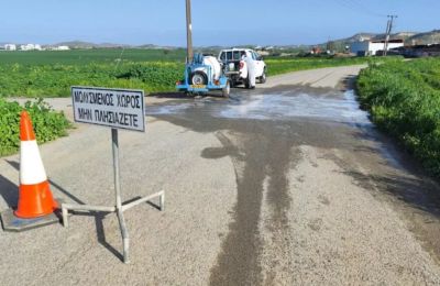 Αφθώδης: Τα κρούσματα σε Γέρι-Δάλι ήταν στα πιθανά σενάρια