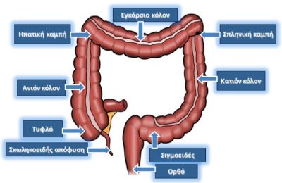 Ο ΠΑΣΥΚΑΦ βρίσκεται δίπλα στα άτομα που ζουν με καρκίνο του παχέος εντέρου και στις οικογένειές τους, προσφέροντας ολοκληρωμένες υπηρεσίες στήριξης και αντιμετώπισης. 