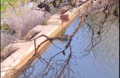 Υπερχείλισε και ο υδατοφράκτης Λυθροδόντα (ΒΙΝΤΕΟ)