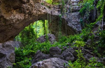 Ανακάλυψη νέων ειδών ζώων στις «απάτητες» σπηλιές της Καμπότζης.