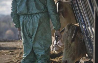 Ένταση σε κτηνοτροφική μονάδα στη Λάρνακα – Στο σημείο η Αστυνομία