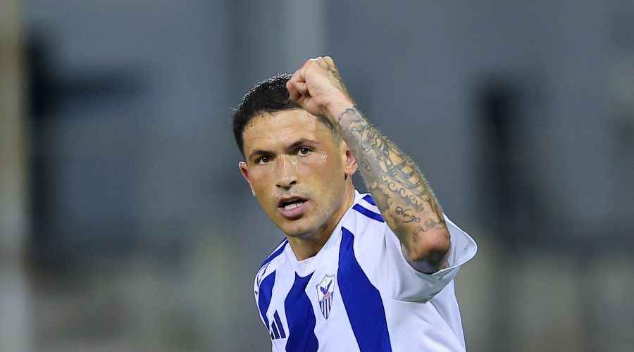 Σένσι: Ποιότητα, Χαρακτήρας… Πάνω ράφι