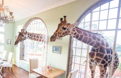 Τα πιο περίεργα ξενοδοχεία στον κόσμο