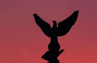 Ανόρθωση/Επενδυτές