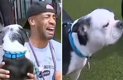 «Μόλις σταμάτησα να κλαίω. Επιτέλους ξαναβρήκα τον έρωτα της ζωής μου»