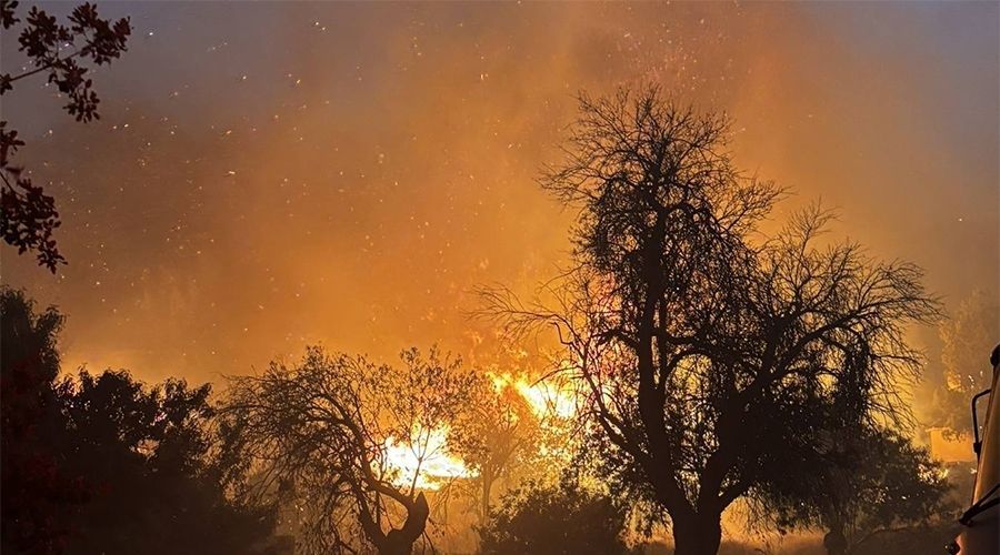 Όσα καταγράφει το πόρισμα