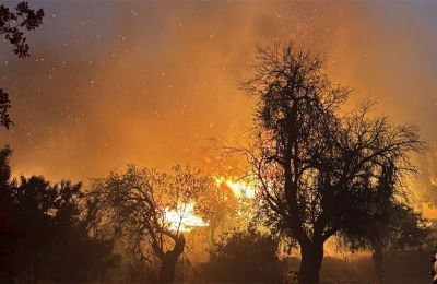 Όσα καταγράφει το πόρισμα