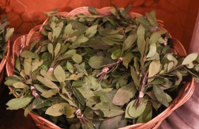 Oι Ιουδαίοι υποδέχθηκαν τον Χριστό κρατώντας βάια ή βάγια (κλάδους φοινίκων) και απλώνοντας στο έδαφος τα ρούχα τους.