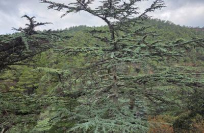 Ο εν λόγω δρόμος παρέμεινε κλειστός λόγω όγκων χώματος και βράχων στο οδόστρωμα.