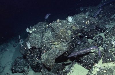 Πρόοδος στην κατανόηση των ωκεανών από τη NASA.